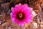 photo thumbnail #6