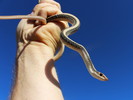 photo thumbnail #2