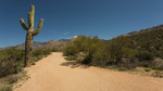 photo thumbnail #1