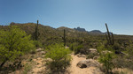 photo thumbnail #2