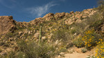 photo thumbnail #8