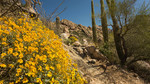 photo thumbnail #9