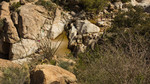 photo thumbnail #11