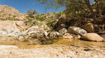 photo thumbnail #12