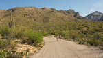 photo thumbnail #1