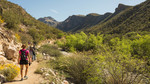 photo thumbnail #3