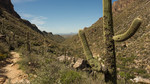 photo thumbnail #10