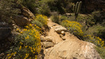 photo thumbnail #11