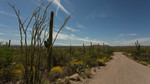 photo thumbnail #13