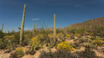 photo thumbnail #14