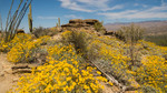 photo thumbnail #9
