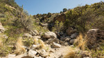 photo thumbnail #5
