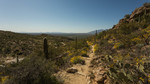 photo thumbnail #8