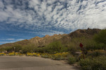 photo thumbnail #1