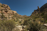 photo thumbnail #8
