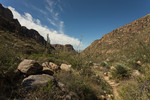 photo thumbnail #9