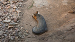 photo thumbnail #13