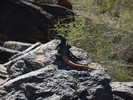photo thumbnail #1