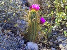 photo thumbnail #5