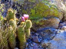 photo thumbnail #7