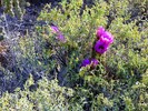 photo thumbnail #13