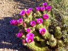 photo thumbnail #15