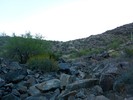 photo thumbnail #2