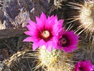photo thumbnail #14