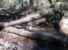 photo thumbnail #5