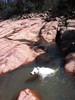 photo thumbnail #10