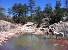 photo thumbnail #11
