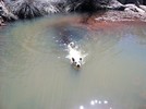 photo thumbnail #13