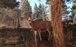 photo thumbnail #1
