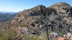 photo thumbnail #14
