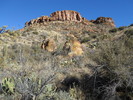 photo thumbnail #5