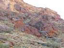 photo thumbnail #14