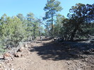 photo thumbnail #4
