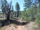 photo thumbnail #5