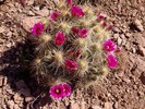 photo thumbnail #5