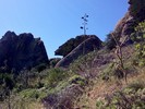 photo thumbnail #8