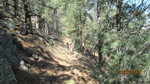 photo thumbnail #7