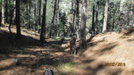 photo thumbnail #5