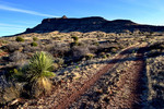 photo thumbnail #14