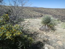 photo thumbnail #6