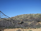 photo thumbnail #10