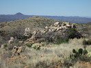 photo thumbnail #12