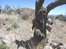 photo thumbnail #5