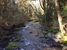 photo thumbnail #10