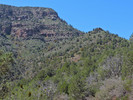 photo thumbnail #8