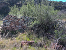 photo thumbnail #12
